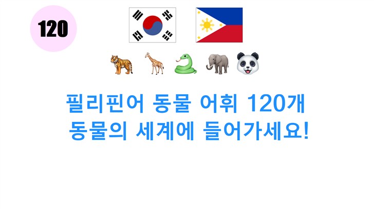 필리핀어 동물 어휘 120개: 동물의 세계에 들어가세요!